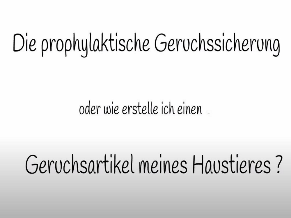 Geruchssicherung
