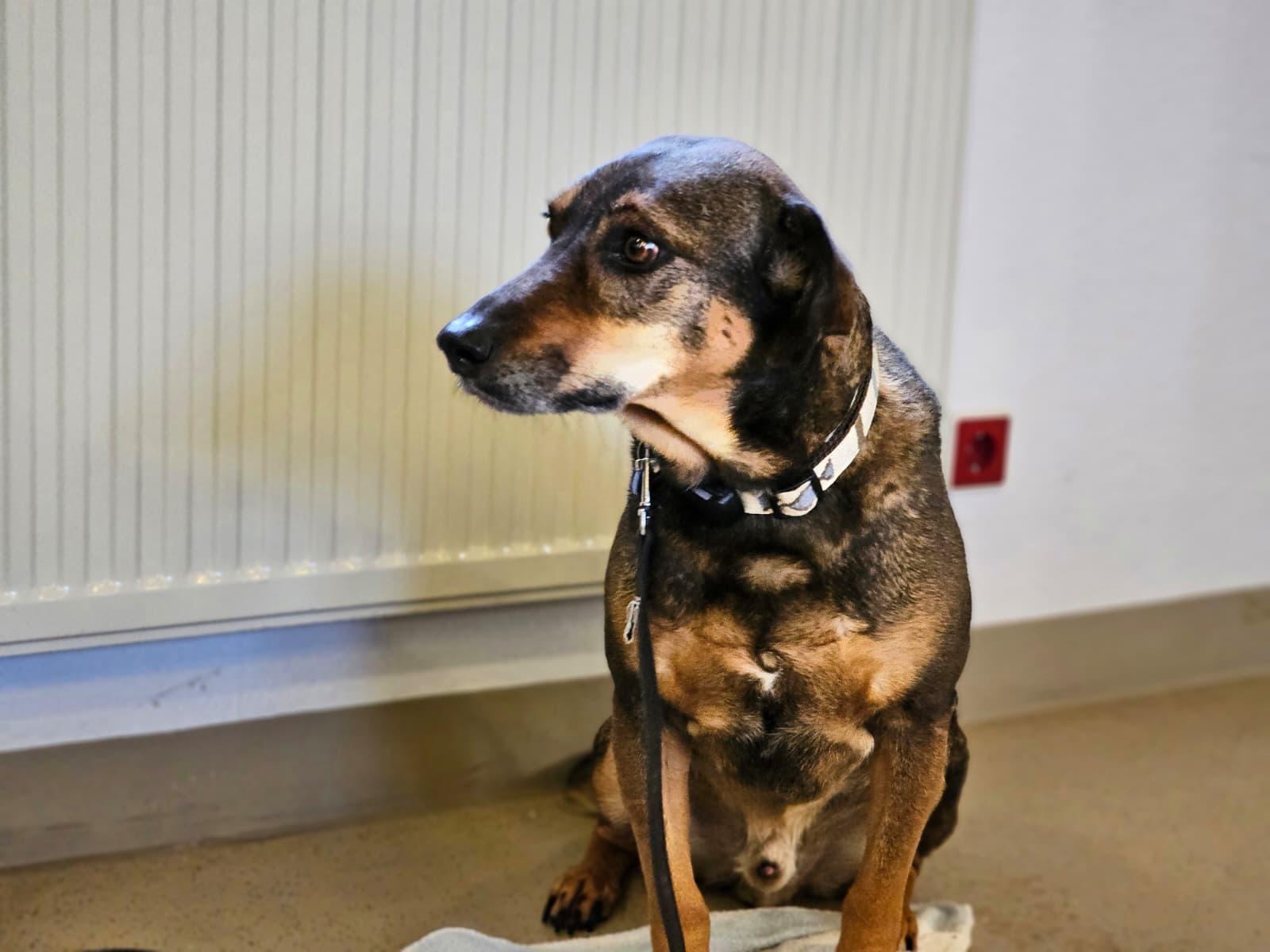 089e5432-3f49-4621-9bcd-cfa4fb03dd9c