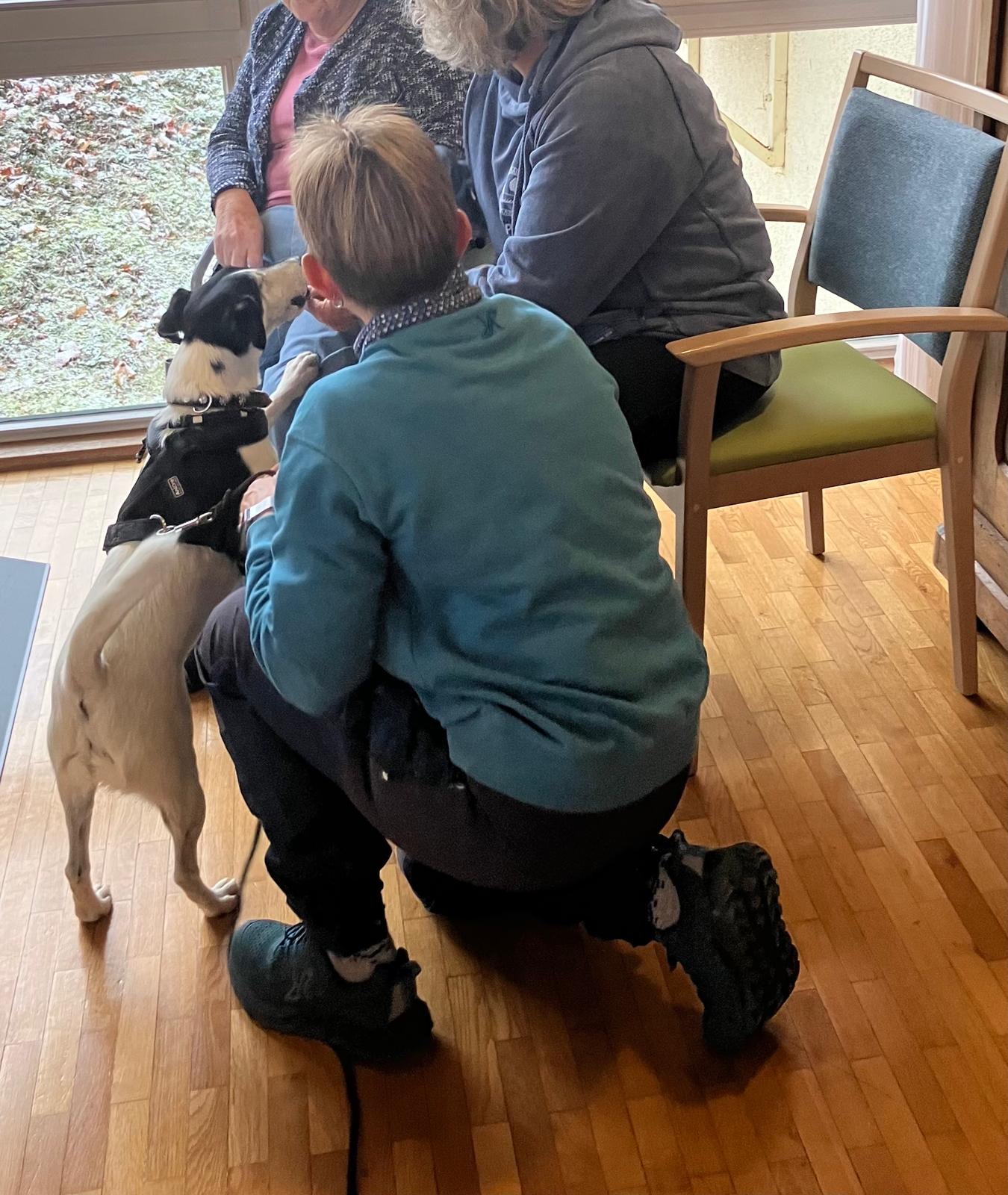 1ae95cab-55fb-4b3b-aa6e-fd2b2fe32cd0