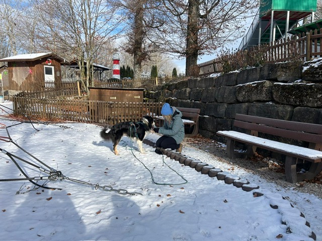 315092c1-2096-4cef-a368-e668ae63b7d6