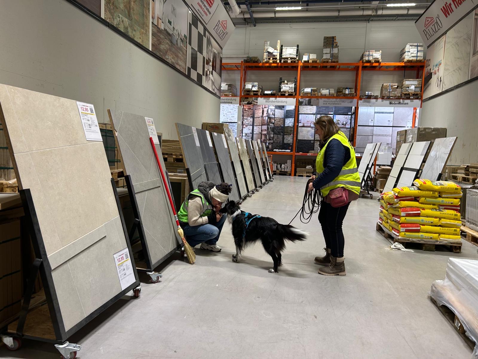 44a8e738-34be-4478-ac91-09bae3360bfe