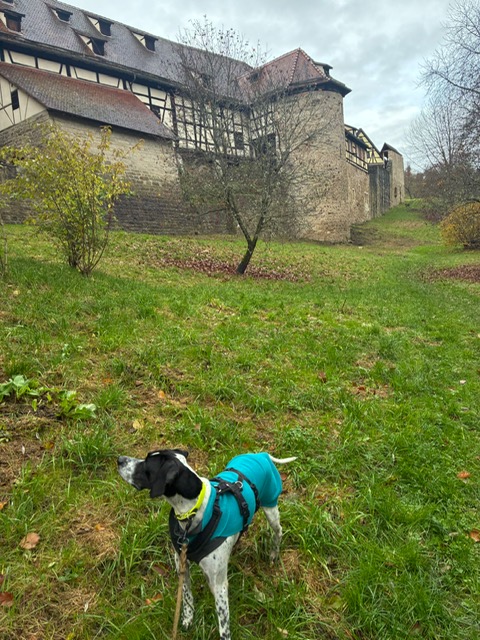 45031c3f-0f19-4c3c-bd90-e8abf35813d7