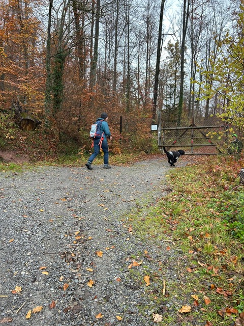 4ce198c5-2d7e-4fa2-b339-446a868b3cd6