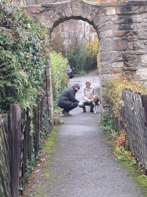 602109c5-43db-4ca7-8dc5-74bd6f152c0b