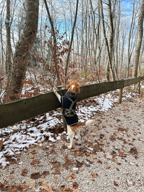 6b0517dd-0246-44a9-b119-8a8c4c2931b4