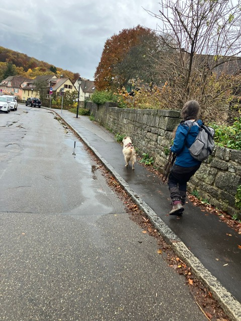 CA2F4631-4FBE-4254-B93B-53E7E0713EC5