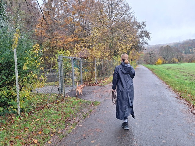 a02f330c-a9d9-4b2f-a4bb-6f0a473ddac4