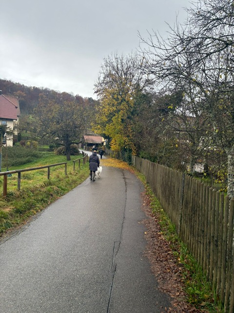 a596ed2c-73fa-4c3f-93bd-8d0bd80d5a8c