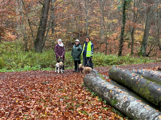 c988aaa1-acf9-4c4d-a289-810bcf42f836