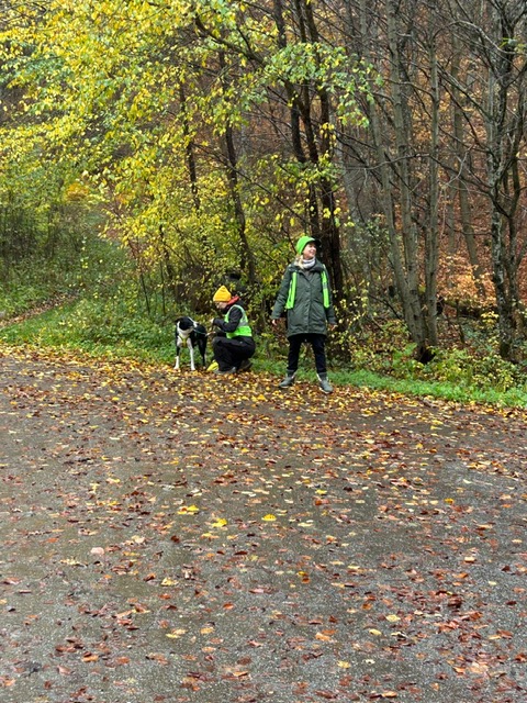 cad204e0-dae4-44ec-9798-bd31dd761214