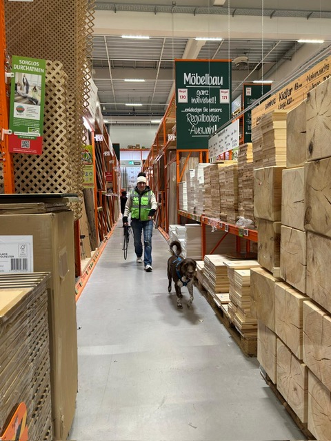 cecd16d3-49dd-48b9-bcae-349aa783a163