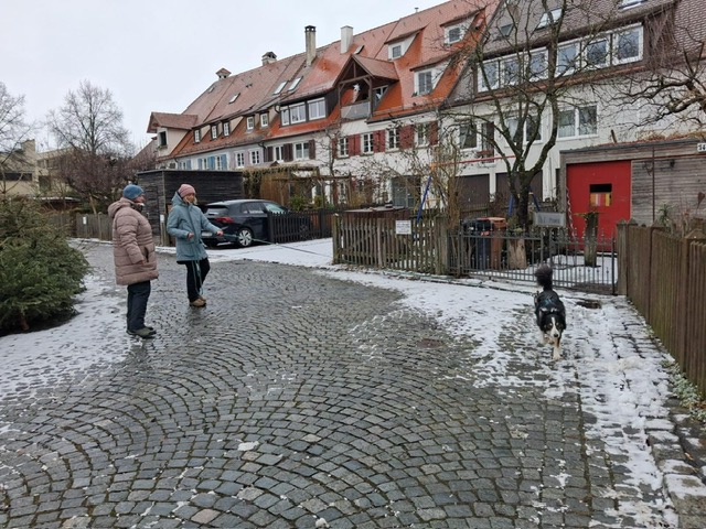 11fc85d5-f341-4d53-975c-8caf6fb8fa19