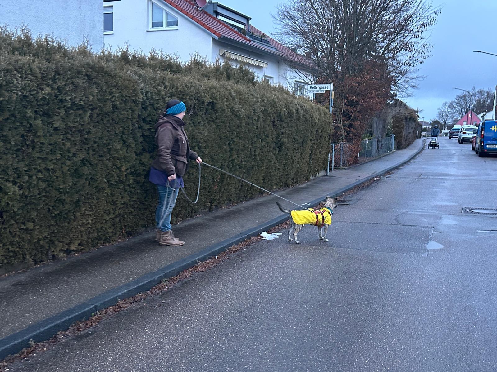 2cc6ff87-36fb-412a-aeba-b628a2169c6e