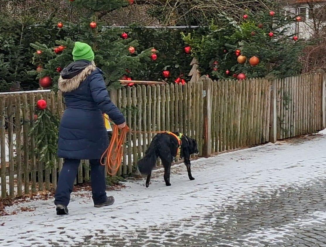 4b0980e4-174a-4ab8-a74b-2e6d04dd2343