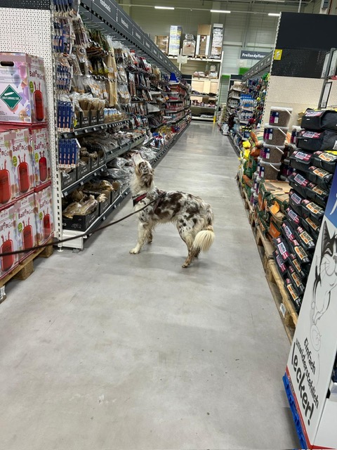 66b6fb7e-7629-4fc3-bedf-8e9953bace81