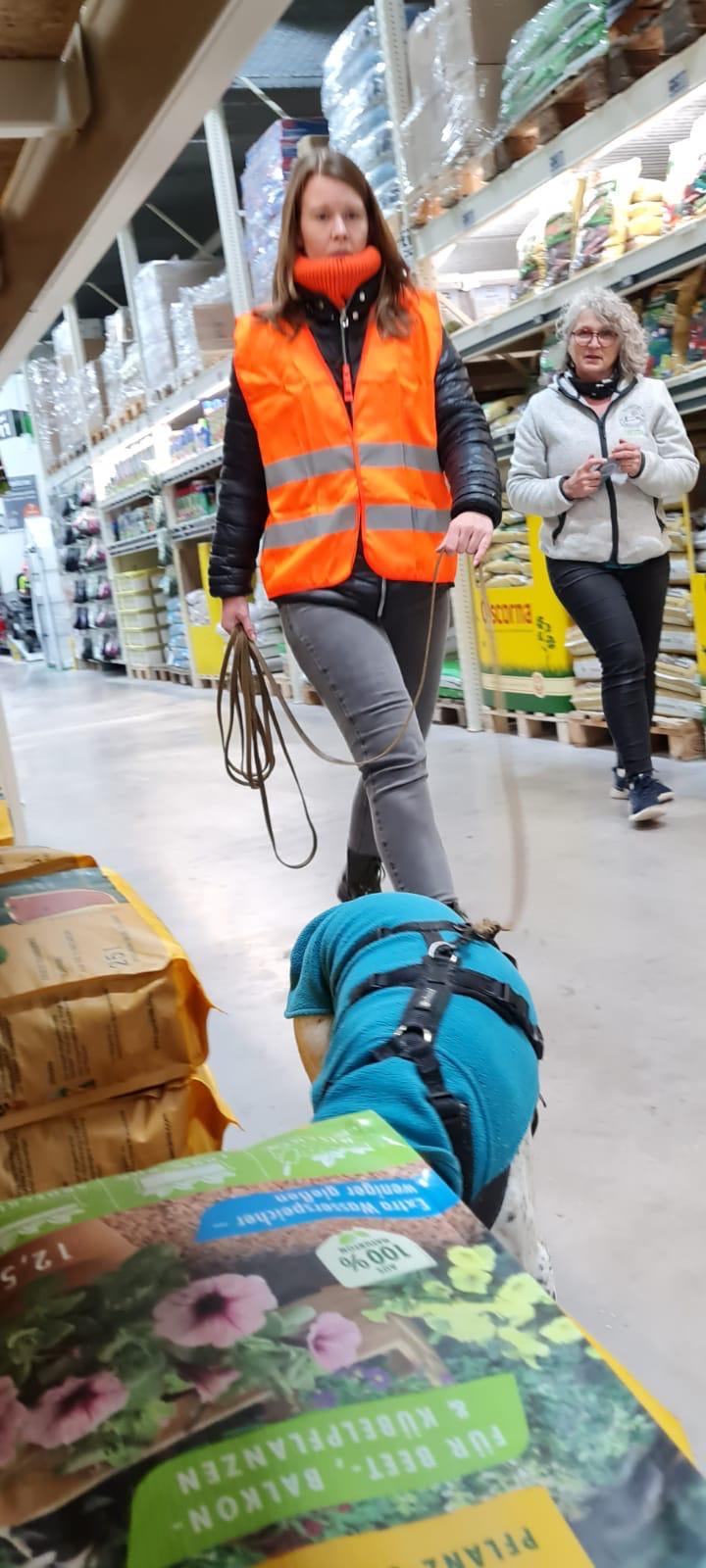 6cb213bd-50db-4538-9525-28714bd43b40