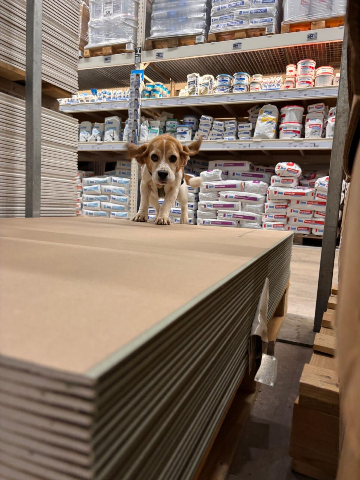 7c89173e-321f-451e-b3e4-a970df8f78e7