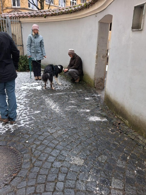 b245c704-0dbf-4ea4-a909-f16194ace3f0