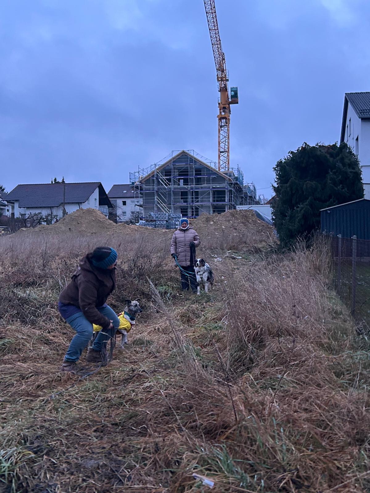 bce70aee-34de-4f05-b2fc-5f5f90073032