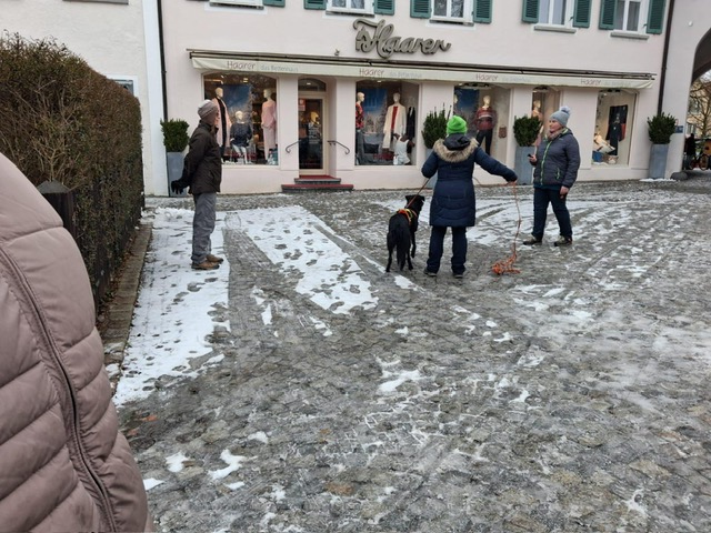 e2ab0eae-a563-4c13-92c1-9b625fffa773