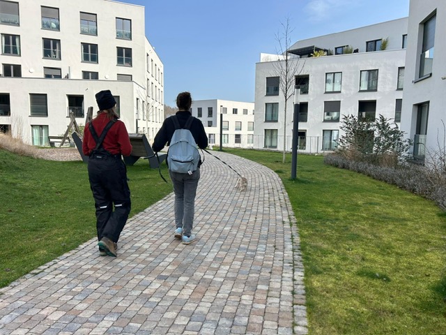 0c002c6c-862b-4ebf-b5e0-b6dbdc42e717