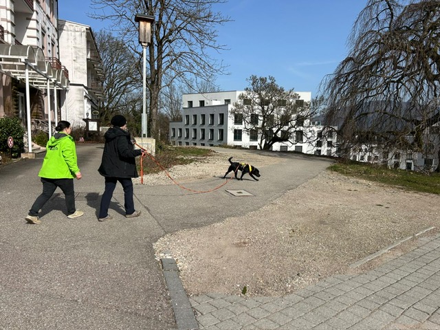 1055b3d5-ae54-4839-af57-824c65c8c977