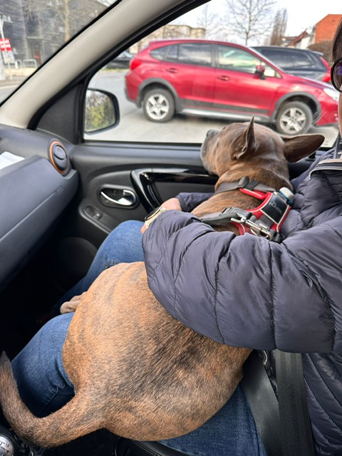 40f81e77-5937-4dcf-ba3a-d8654bbfe0be