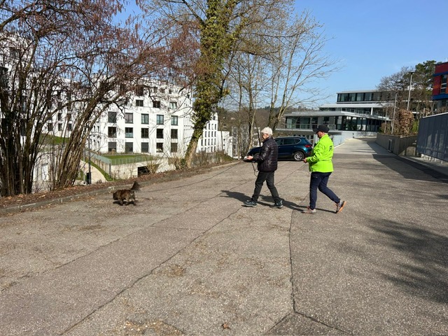 5a2a9e1c-9f7a-4bf1-9c67-61bee9232e48