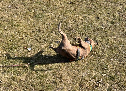 5b65cd49-8600-4446-9e37-9f0261ad5162