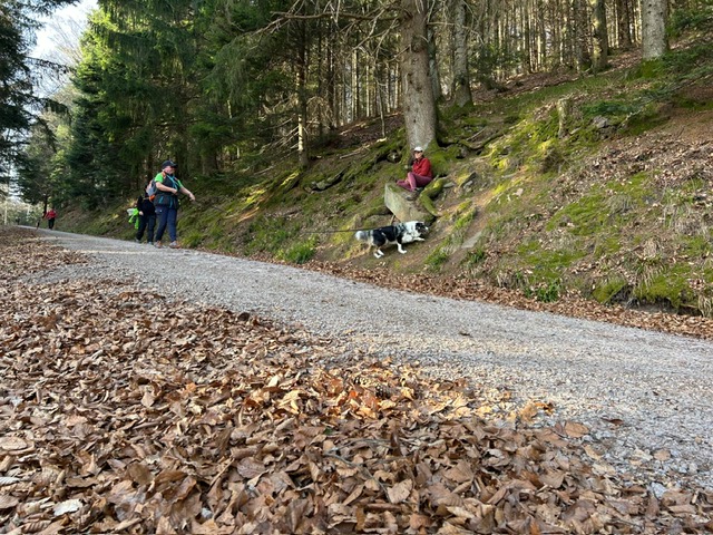 88fe3bc6-7dfa-49d1-a52a-908d600cc53e