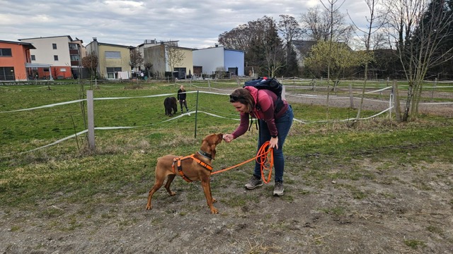 91240e96-88a2-46fb-9266-3d3905ad3f38