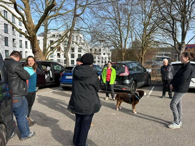 9d4a5dcf-4086-47be-a7c0-505c035602ca