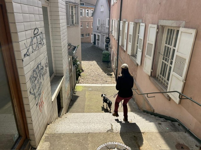 a82b28ea-7e25-4f22-8427-b875cccf6dbf