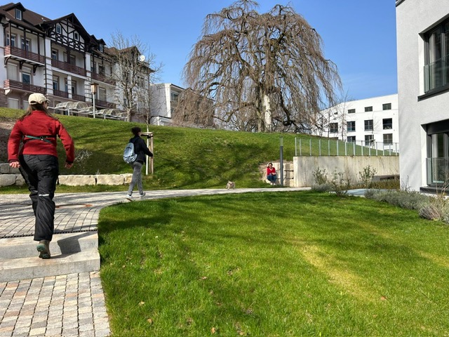 ccaa8862-4a65-45fc-b37e-0ca2656135b0