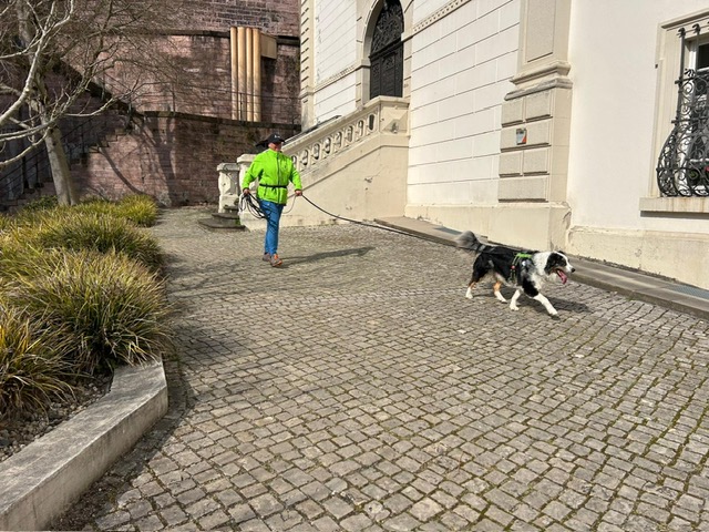 e280b918-2a84-4aee-bab9-76a0dbf1c4e1