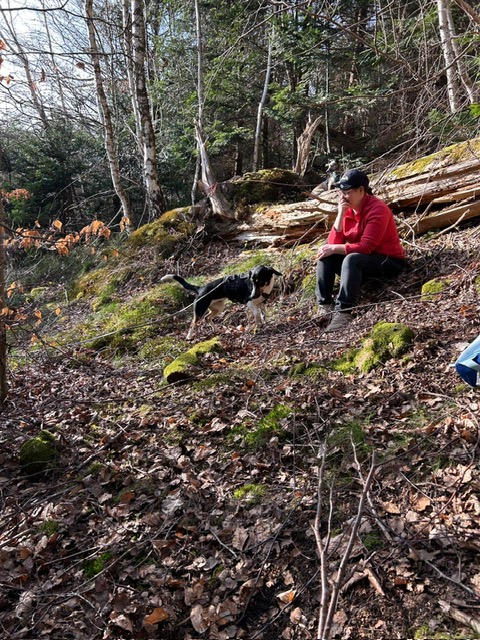 ea334d16-2699-4945-a253-fd0fe5dff5a4