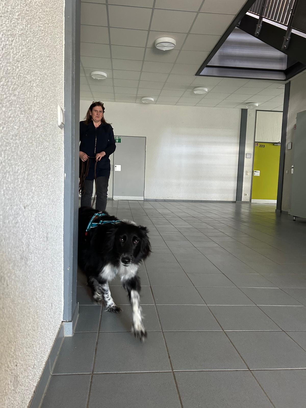 03d3cff8-3af8-4cec-8220-85c43b66b5f4