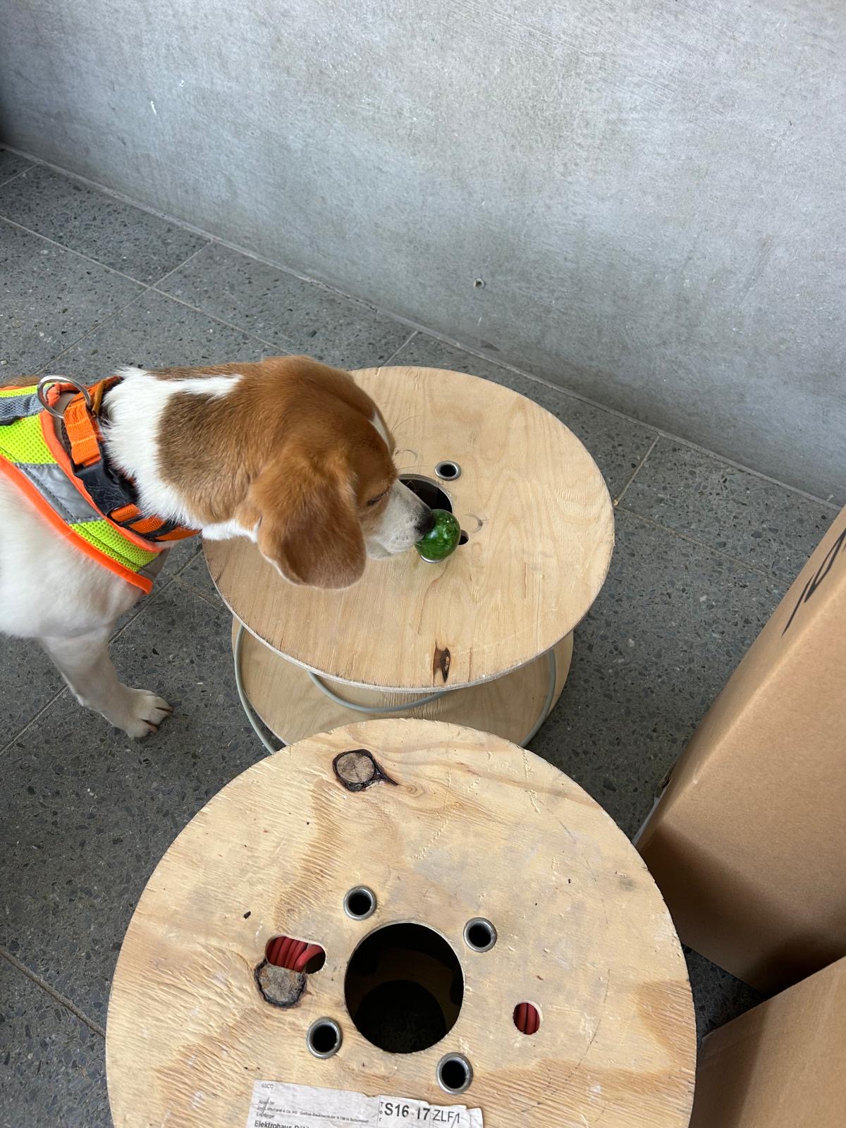 25d546e6-e735-44be-b309-506809fad9d7