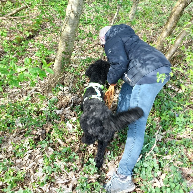 5e2242bd-6e10-4840-8cbb-90b7861dfa87